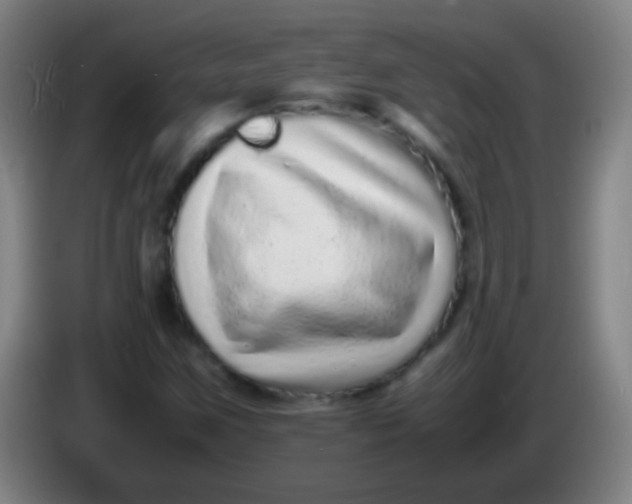 X0000085311259200703302015