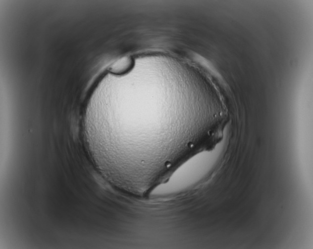 X0000085311260200703302015