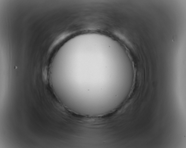 X0000085311262200703302015