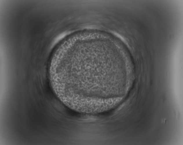 X0000085311263200703302015