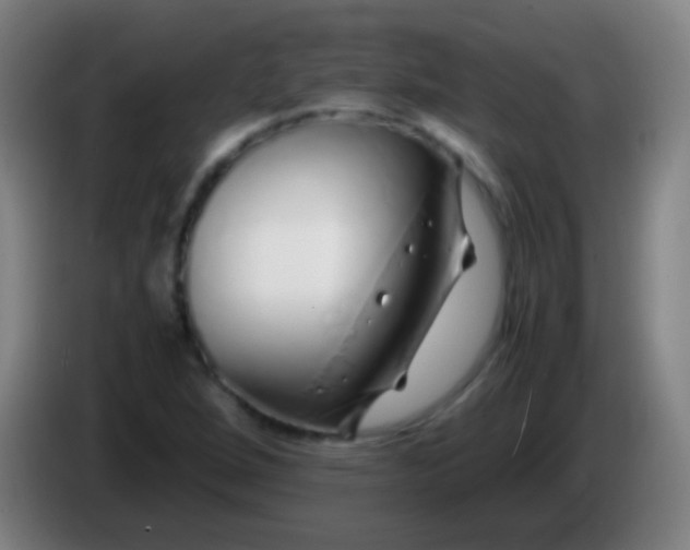 X0000085311264200703302015