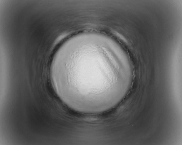 X0000085311267200703302015