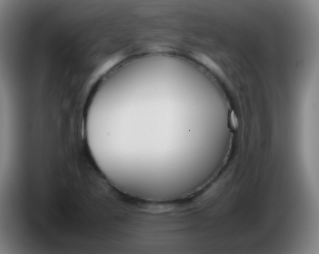 X0000085311269200703302015