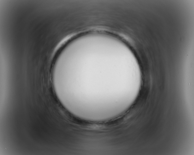 X0000085311271200703302015