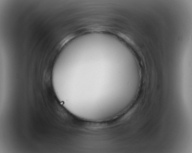 X0000085311273200703302015