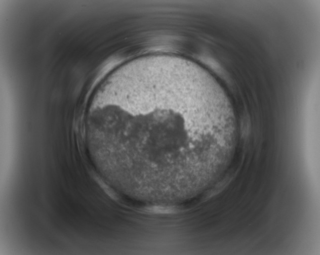 X0000085311274200703302015