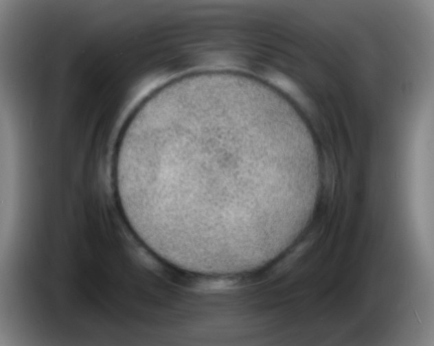 X0000085311278200703302015