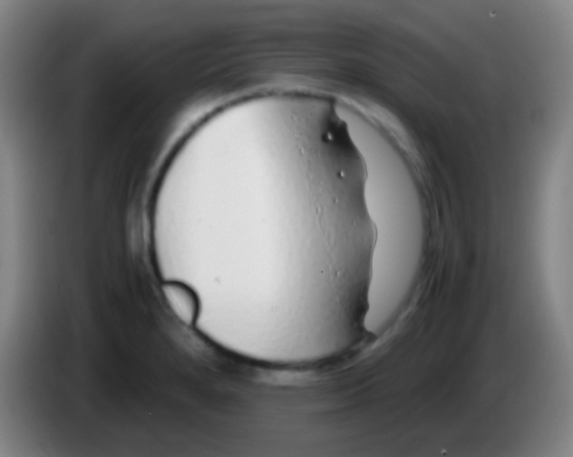 X0000085311280200703302014