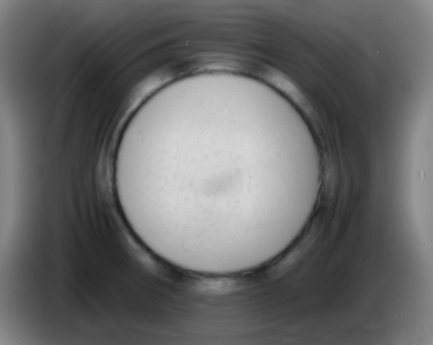 X0000085311282200703302014