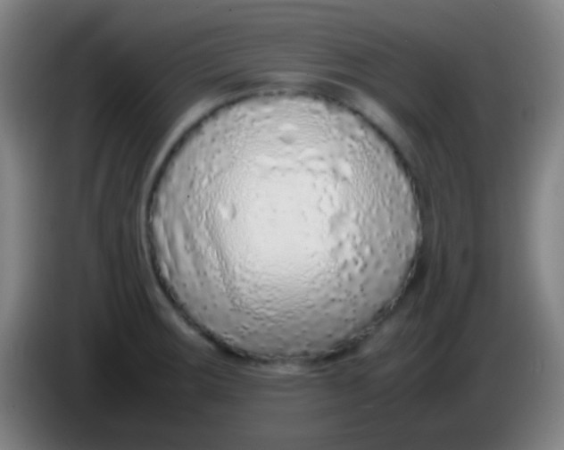 X0000085311283200703302014