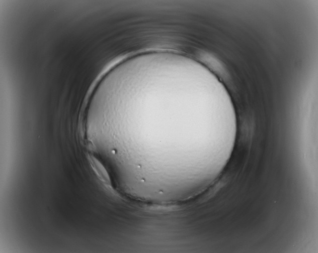 X0000085311284200703302014