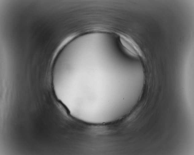 X0000085311285200703302014