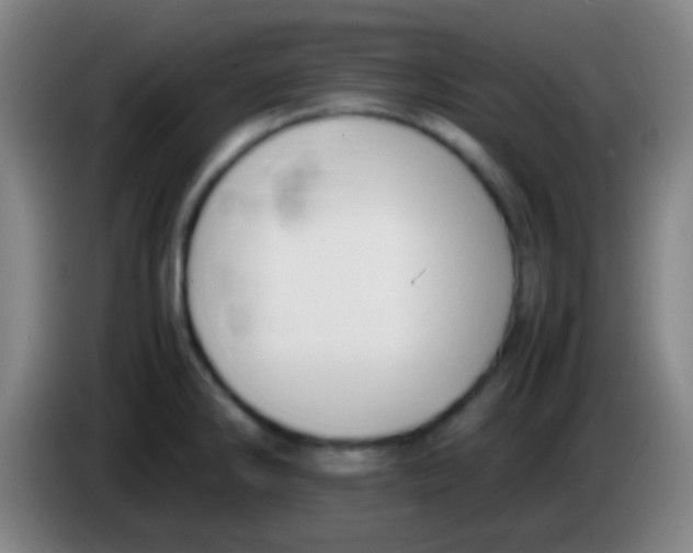 X0000085311286200703302014