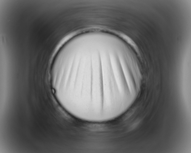 X0000085311287200703302014