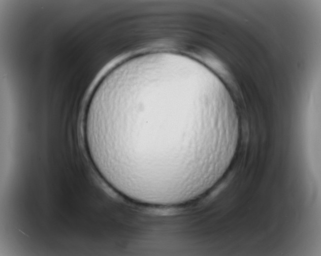 X0000085311288200703302014