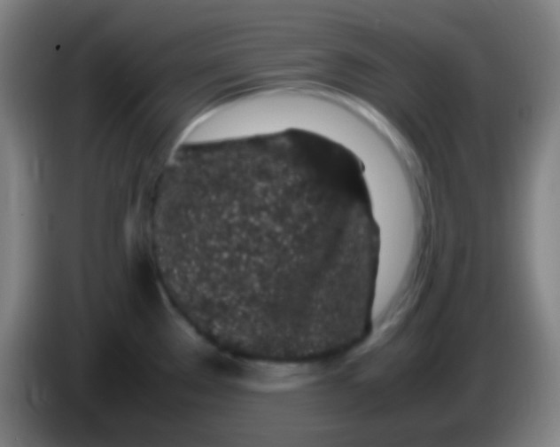 X0000085311289200703302014