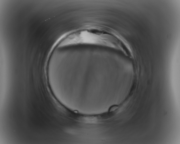 X0000085311291200703302014