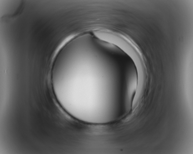 X0000085311293200703302014