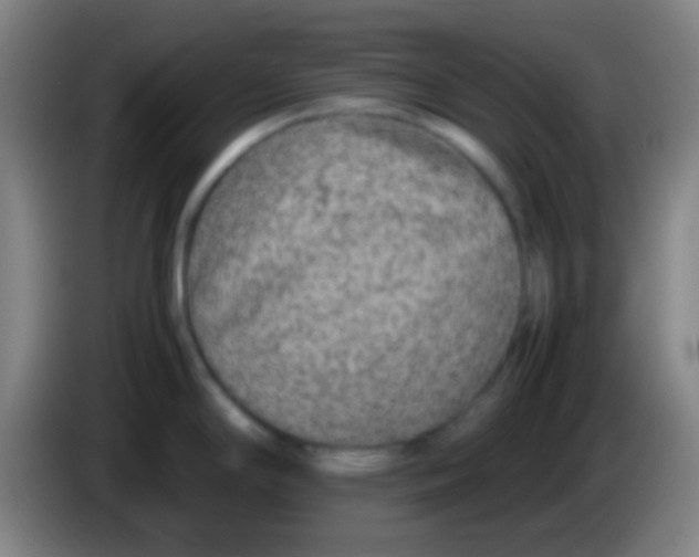 X0000085311294200703302014