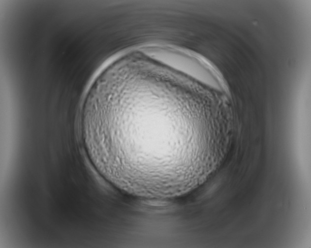 X0000085311295200703302014