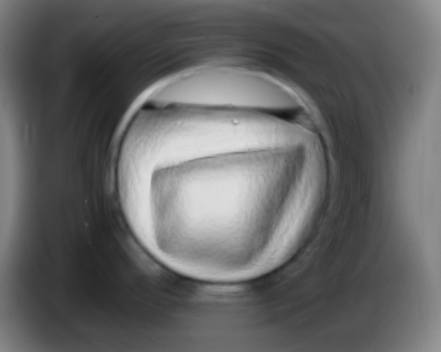 X0000085311296200703302014