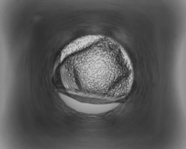 X0000085311297200703302014