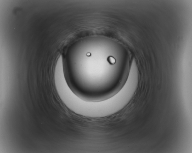 X0000085311298200703302014