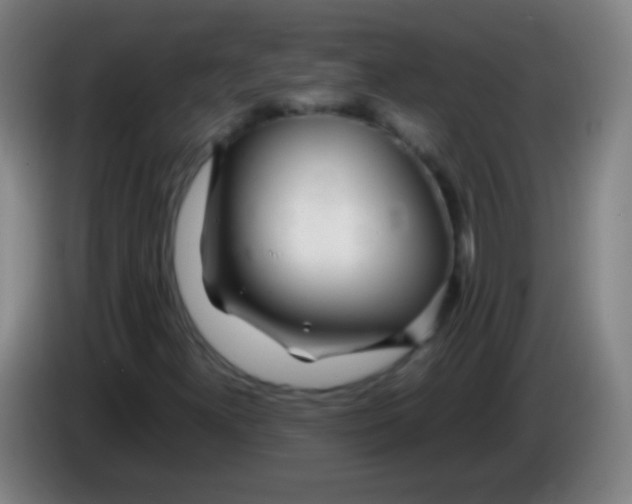 X0000085311300200703302014