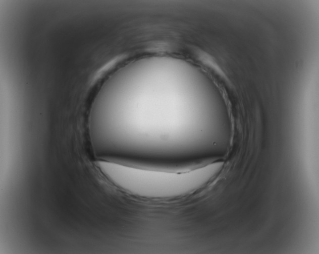 X0000085311304200703302014