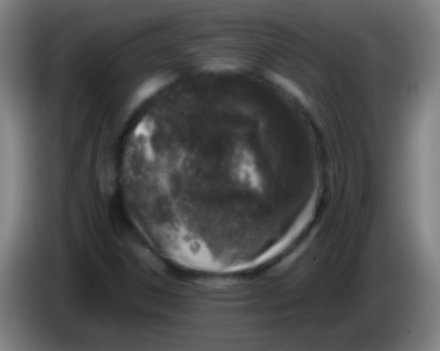 X0000085311306200703302014