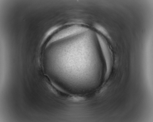 X0000085311312200703302014