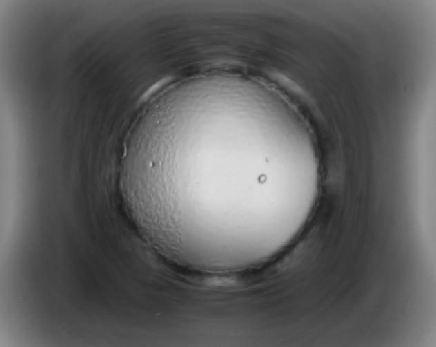 X0000085311313200703302014