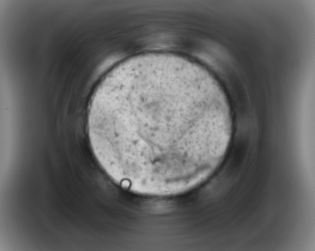 X0000085311314200703302014