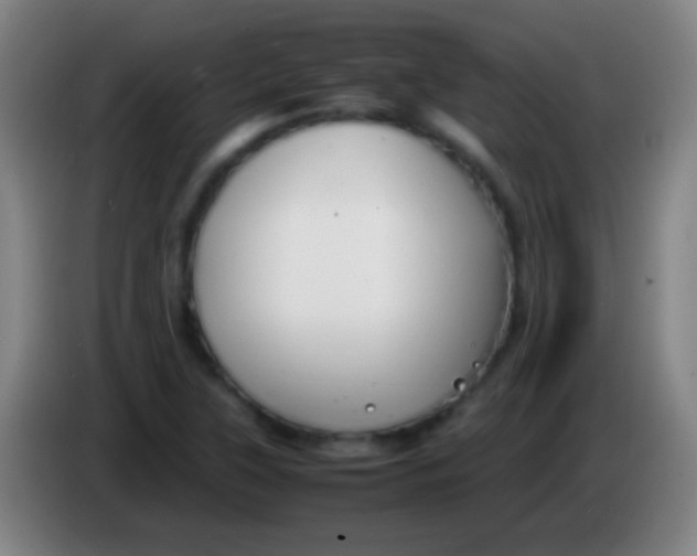 X0000085311315200703302014