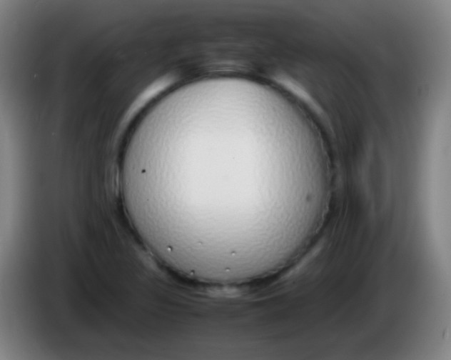 X0000085311317200703302014