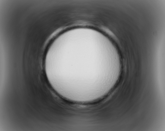 X0000085311318200703302014