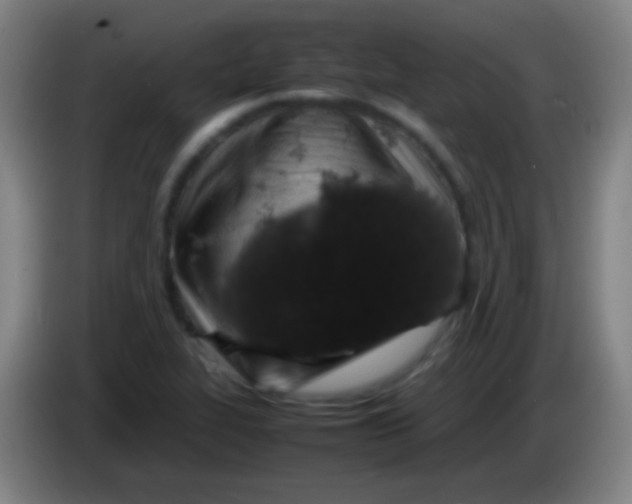 X0000085311319200703302014