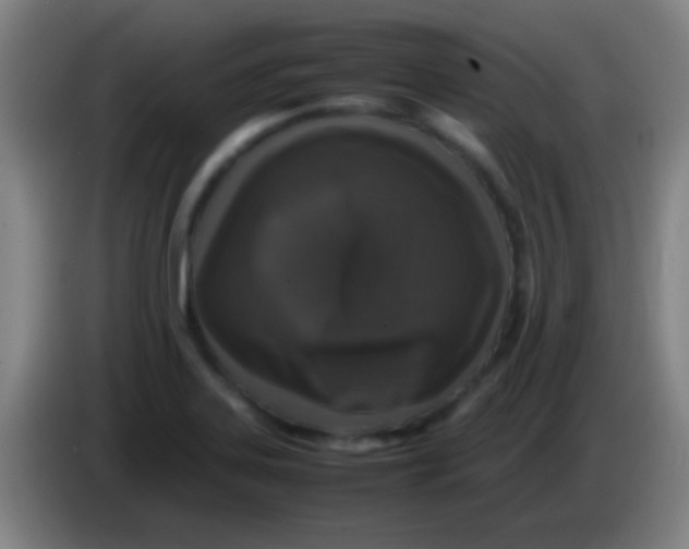 X0000085311323200703302014