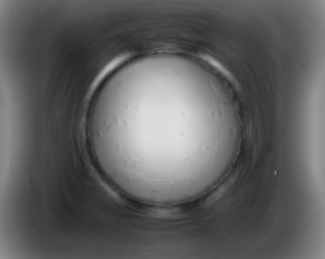 X0000085311325200703302014