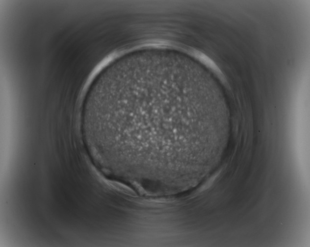 X0000085311326200703302014