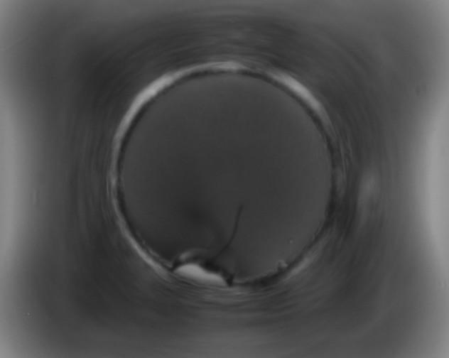 X0000085311327200703302014