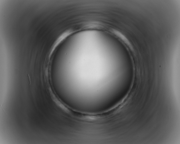 X0000085311330200703302014