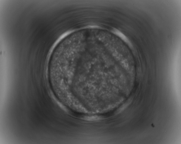 X0000085311331200703302014