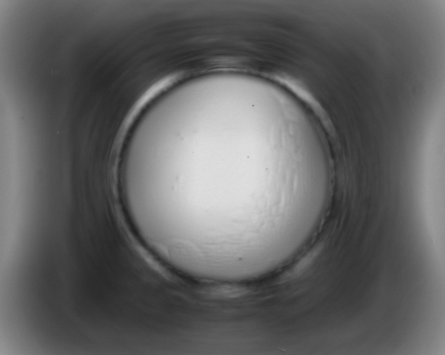 X0000085311333200703302014