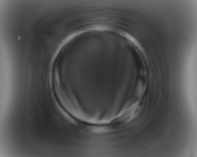 X0000085311334200703302014