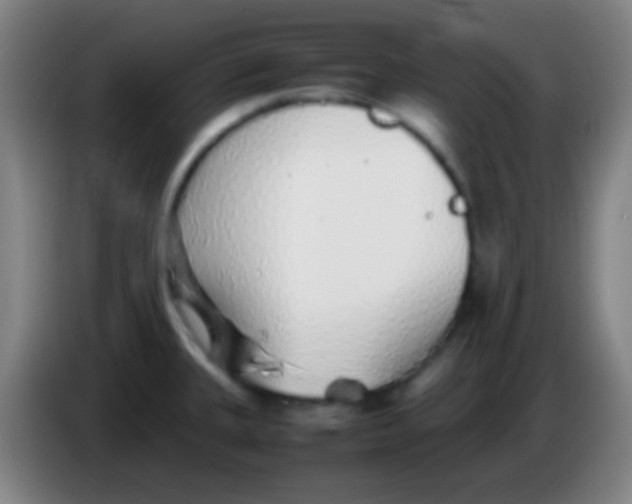 X0000085311335200703302014