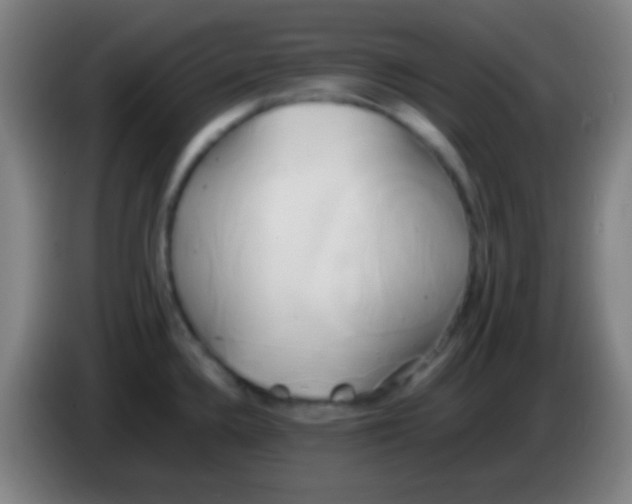 X0000085311336200703302014