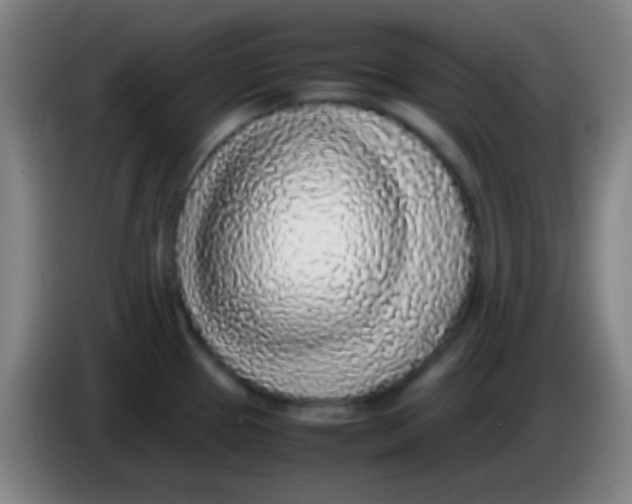 X0000085311337200703302014