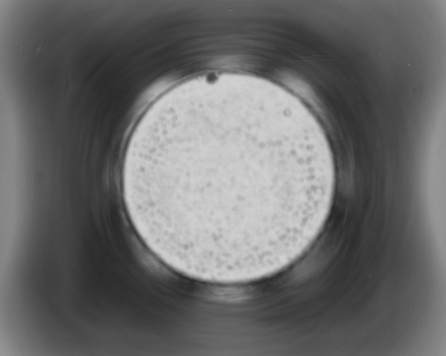 X0000085311338200703302014