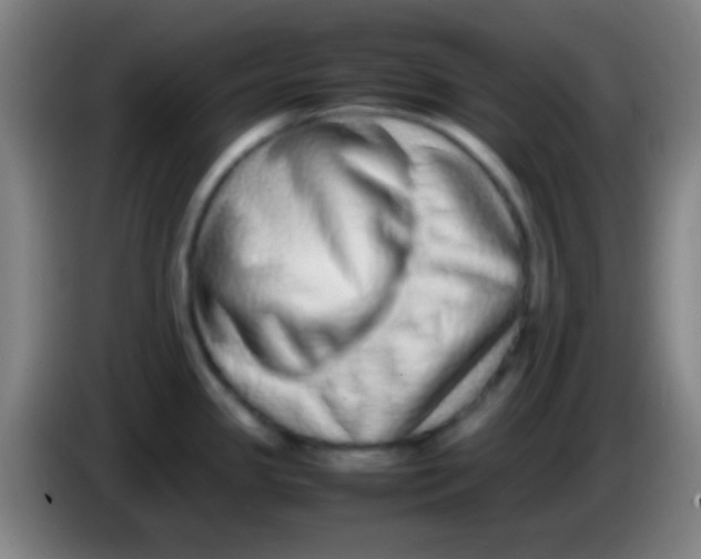 X0000085311341200703302014